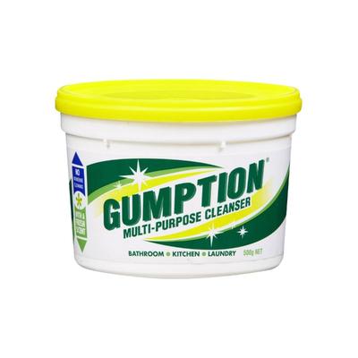 GUMPTION Paste Cleaner 500gm