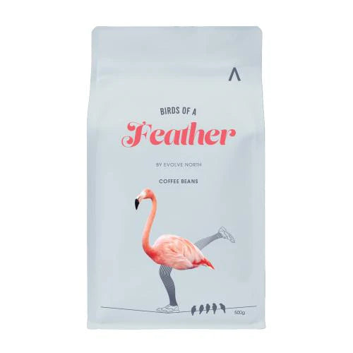 Evolve North  Birds of a Feather Coffee 500g